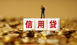 成都大额短借-成都短借空放-成都哪里有小额贷款