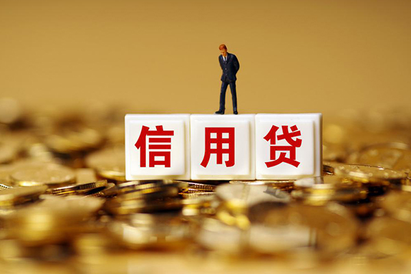 成都大额短借